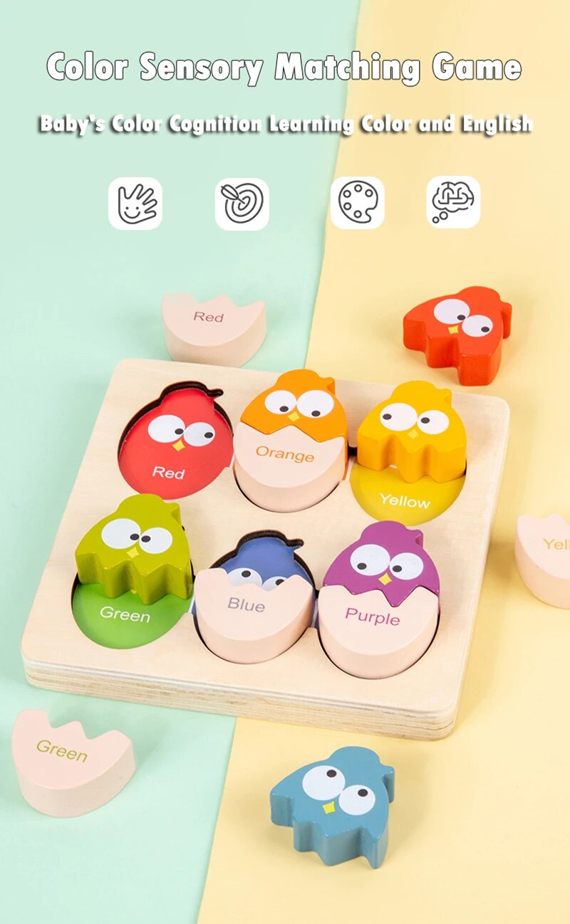 ไข่ปริศนาจับคู่สี ( Egg Color Sensory Matching )